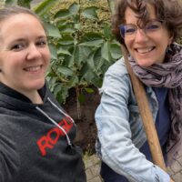 Baumchallenge5